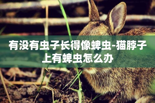 有沒有蟲子長得像蜱蟲-貓脖子上有蜱蟲怎么辦