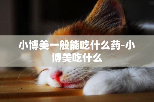 小博美一般能吃什么藥-小博美吃什么