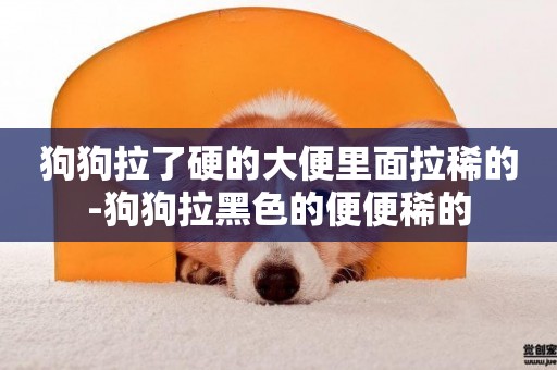 狗狗拉了硬的大便里面拉稀的-狗狗拉黑色的便便稀的