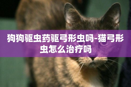 狗狗驅蟲藥驅弓形蟲嗎-貓弓形蟲怎么治療嗎