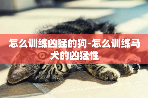 怎么訓練兇猛的狗-怎么訓練馬犬的兇猛性