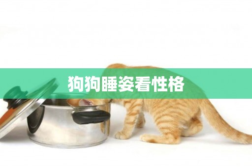 狗狗睡姿看性格