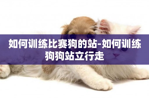如何訓練比賽狗的站-如何訓練狗狗站立行走