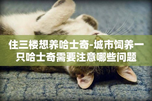 住三樓想養哈士奇-城市飼養一只哈士奇需要注意哪些問題