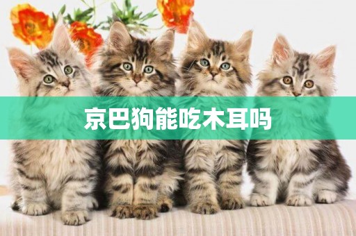 京巴狗能吃木耳嗎