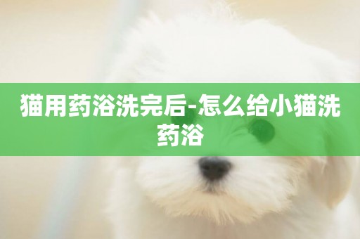 貓用藥浴洗完后-怎么給小貓洗藥浴