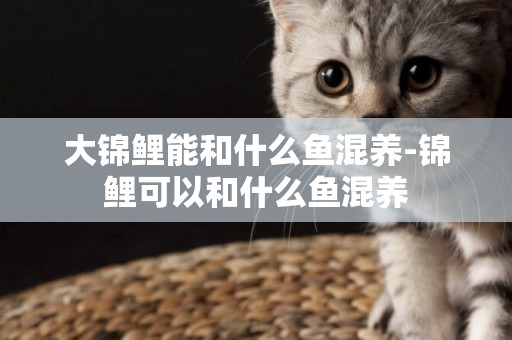 大錦鯉能和什么魚混養-錦鯉可以和什么魚混養