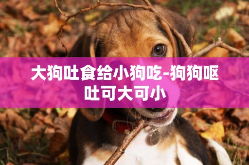 大狗吐食給小狗吃-狗狗嘔吐可大可小