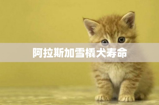阿拉斯加雪橇犬壽命
