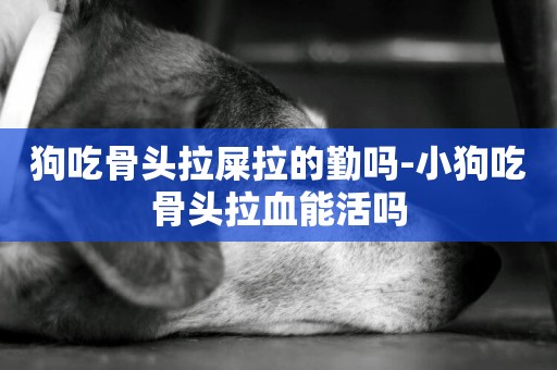 狗吃骨頭拉屎拉的勤嗎-小狗吃骨頭拉血能活嗎