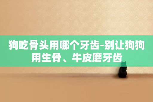 狗吃骨頭用哪個牙齒-別讓狗狗用生骨、牛皮磨牙齒