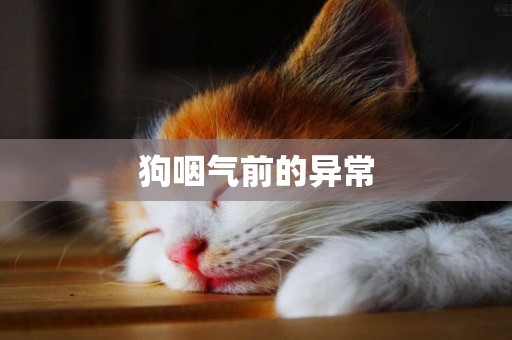 狗咽氣前的異常