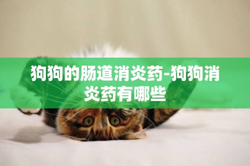 狗狗的腸道消炎藥-狗狗消炎藥有哪些