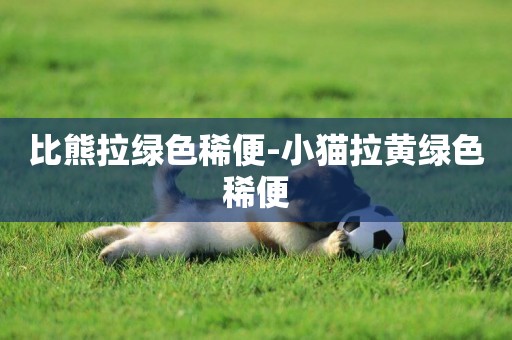 比熊拉綠色稀便-小貓拉黃綠色稀便