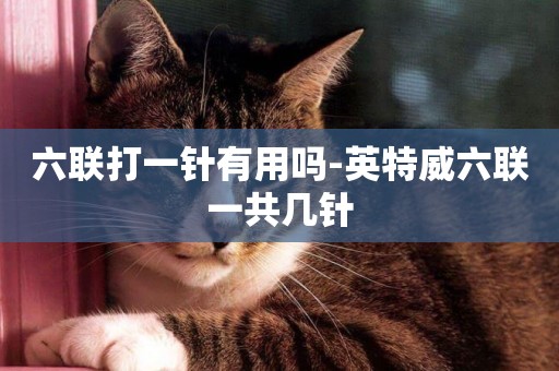 六聯打一針有用嗎-英特威六聯一共幾針
