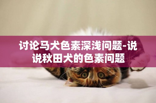 討論馬犬色素深淺問題-說說秋田犬的色素問題
