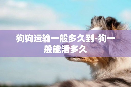 狗狗運輸一般多久到-狗一般能活多久