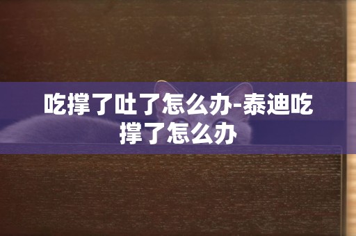 吃撐了吐了怎么辦-泰迪吃撐了怎么辦