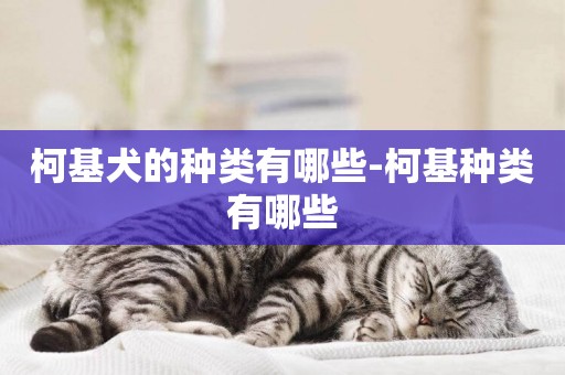 柯基犬的種類有哪些-柯基種類有哪些