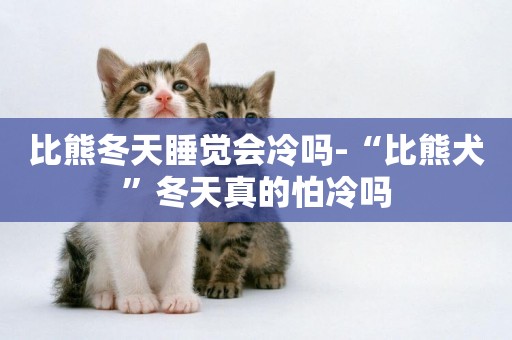 比熊冬天睡覺會冷嗎-“比熊犬”冬天真的怕冷嗎