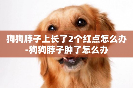狗狗脖子上長了2個紅點怎么辦-狗狗脖子腫了怎么辦
