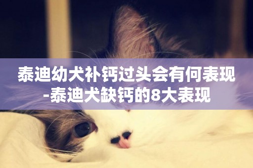 泰迪幼犬補鈣過頭會有何表現-泰迪犬缺鈣的8大表現