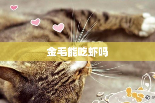 金毛能吃蝦嗎