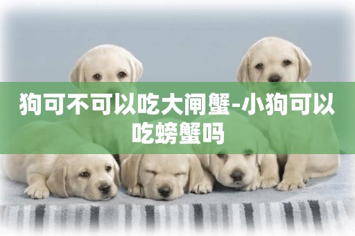 狗可不可以吃大閘蟹-小狗可以吃螃蟹嗎