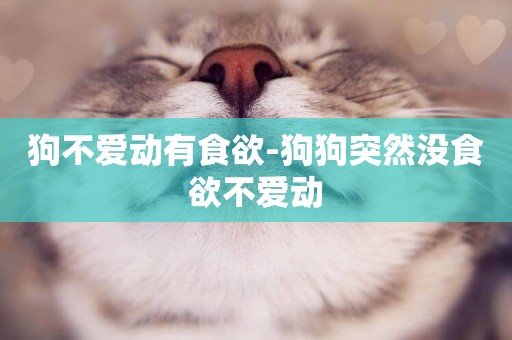 狗不愛動有食欲-狗狗突然沒食欲不愛動
