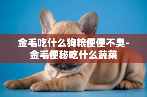 金毛吃什么狗糧便便不臭-金毛便秘吃什么蔬菜