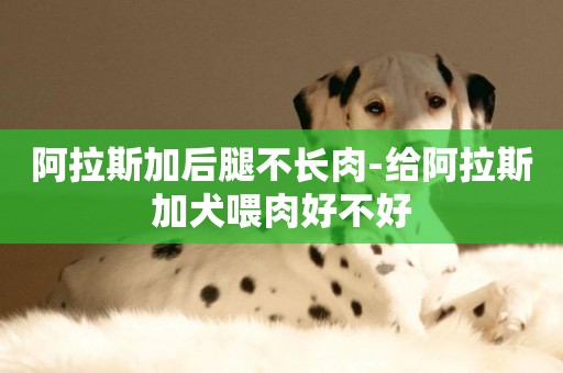 阿拉斯加后腿不長肉-給阿拉斯加犬喂肉好不好