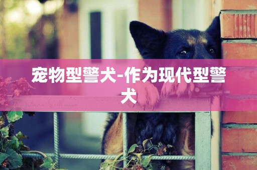 寵物型警犬-作為現代型警犬