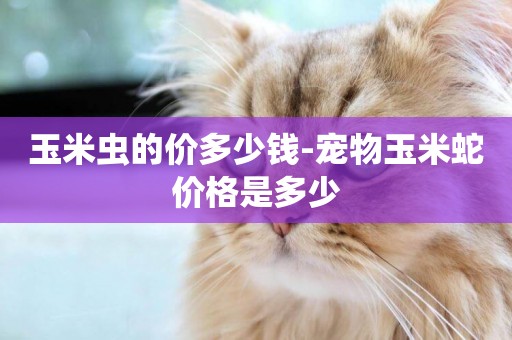 玉米蟲的價多少錢-寵物玉米蛇價格是多少