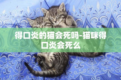 得口炎的貓會死嗎-貓咪得口炎會死么