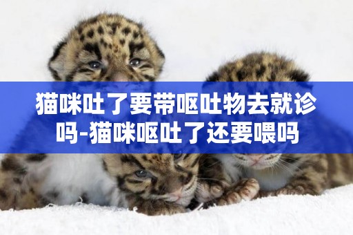 貓咪吐了要帶嘔吐物去就診嗎-貓咪嘔吐了還要喂嗎