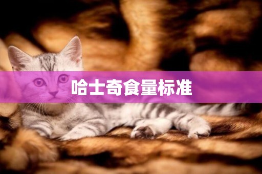 哈士奇食量標準