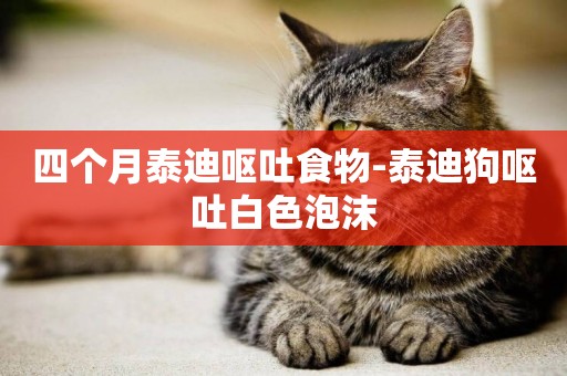 四個月泰迪嘔吐食物-泰迪狗嘔吐白色泡沫