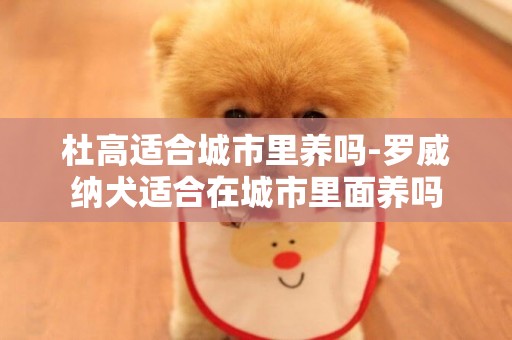 杜高適合城市里養嗎-羅威納犬適合在城市里面養嗎