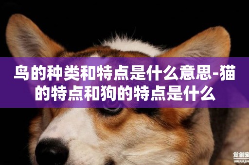 鳥的種類和特點是什么意思-貓的特點和狗的特點是什么