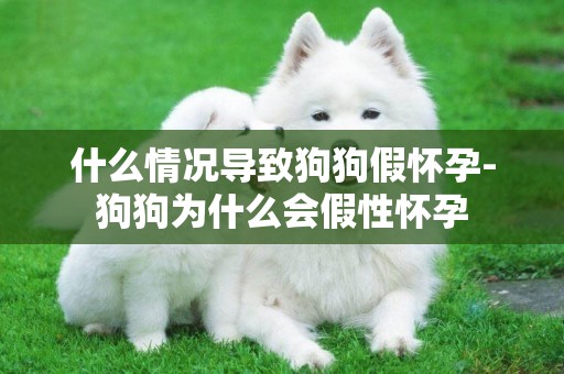 什么情況導致狗狗假懷孕-狗狗為什么會假性懷孕