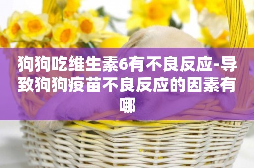 狗狗吃維生素6有不良反應-導致狗狗疫苗不良反應的因素有哪