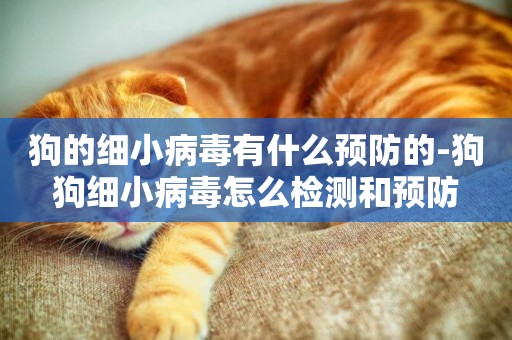 狗的細小病毒有什么預防的-狗狗細小病毒怎么檢測和預防