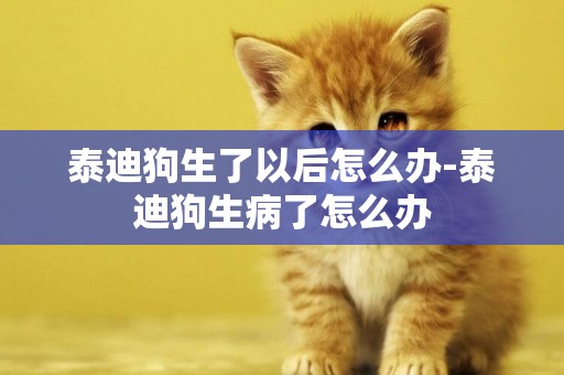 泰迪狗生了以后怎么辦-泰迪狗生病了怎么辦