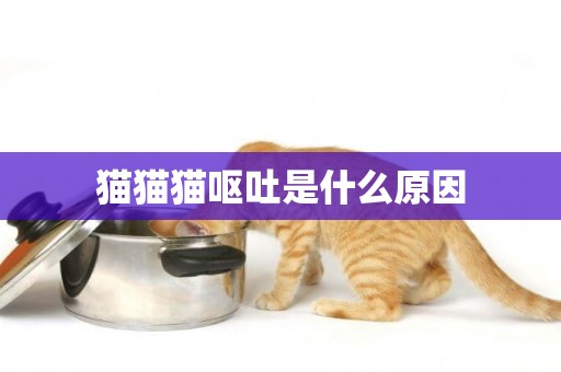 貓貓貓嘔吐是什么原因