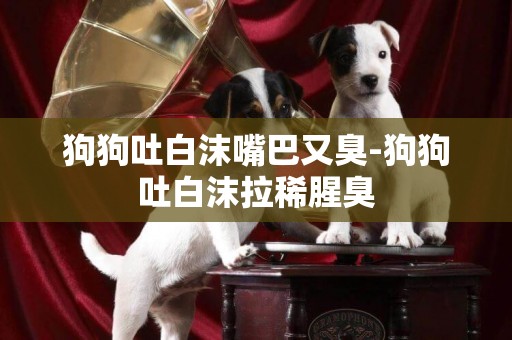 狗狗吐白沫嘴巴又臭-狗狗吐白沫拉稀腥臭