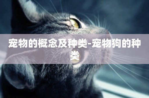 寵物的概念及種類-寵物狗的種類