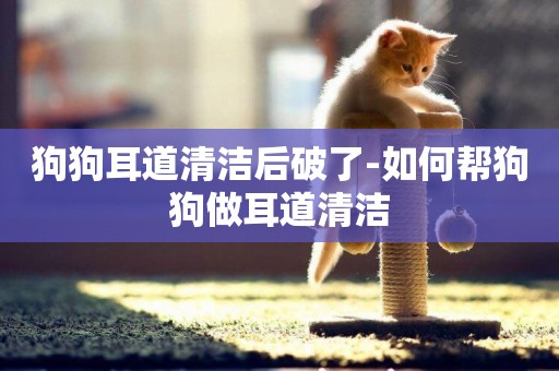狗狗耳道清潔后破了-如何幫狗狗做耳道清潔