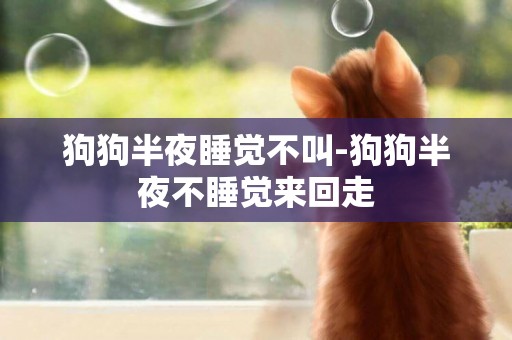 狗狗半夜睡覺不叫-狗狗半夜不睡覺來回走