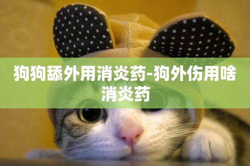 狗狗舔外用消炎藥-狗外傷用啥消炎藥