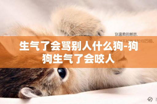 生氣了會罵別人什么狗-狗狗生氣了會咬人